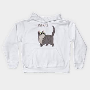 What? Kids Hoodie